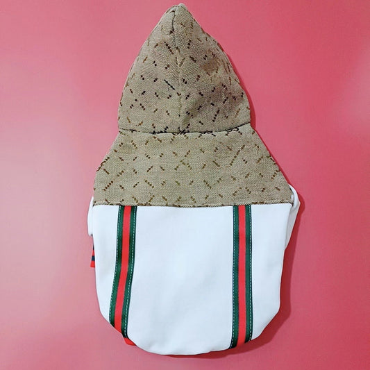 Gucci Teddy Puppy Clothes