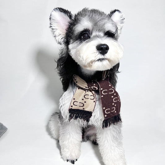 Gucci Dog Scarf